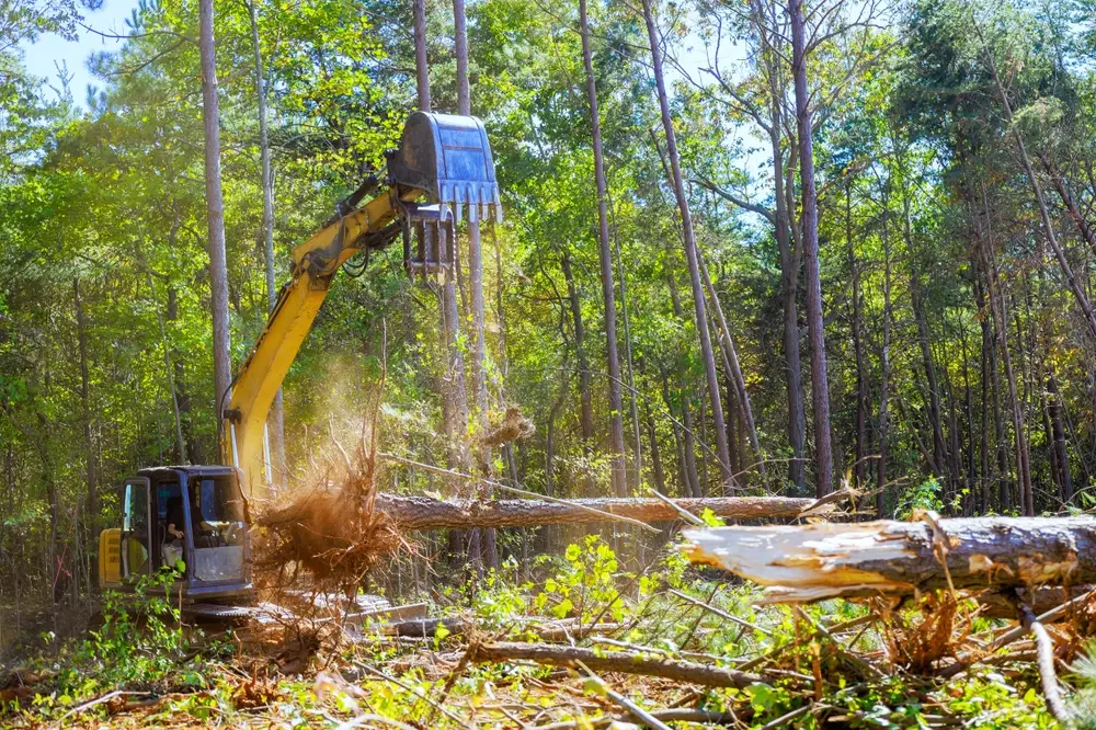 forestry equipment technology