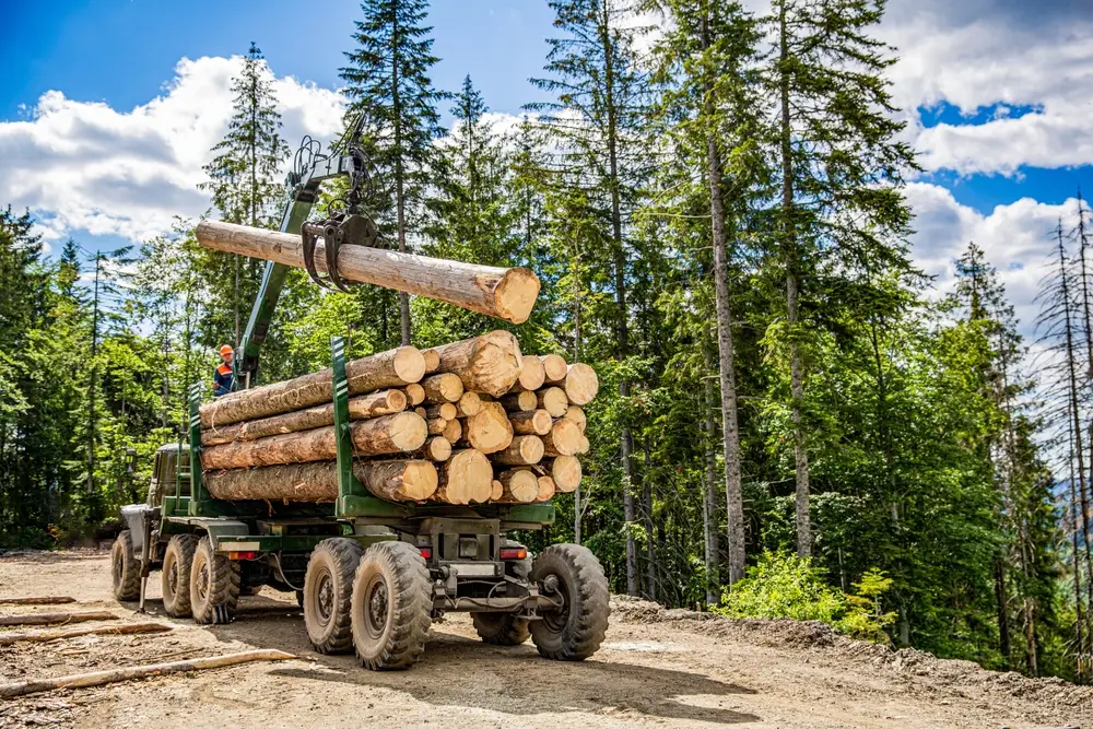 forestry equipment technology