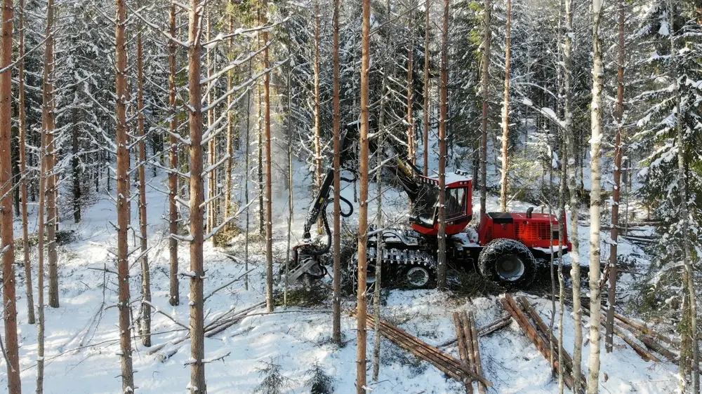 Seasonal maintenance