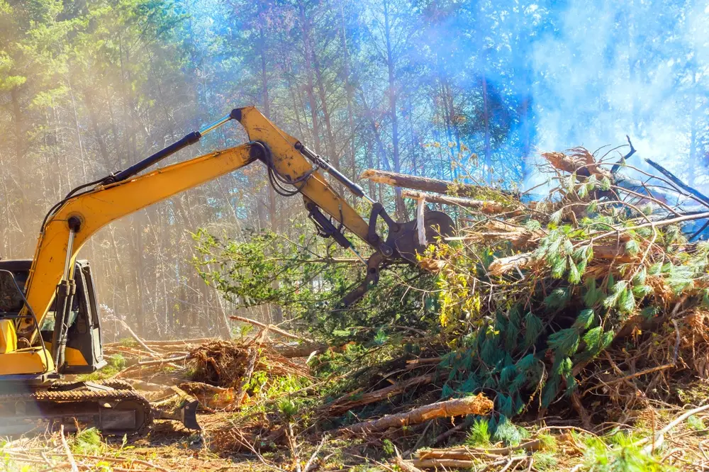 forestry machinery for long-term performance