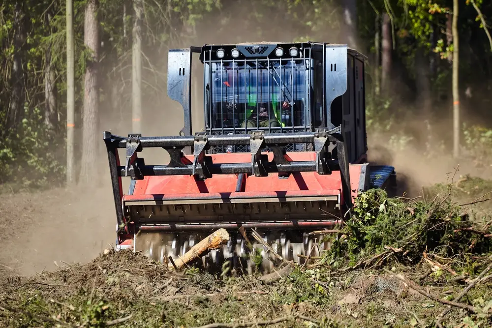 forest land clearing (1)
