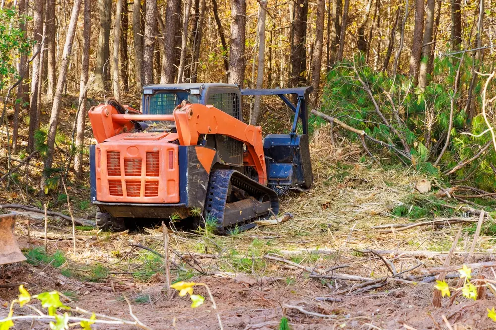forest land clearing