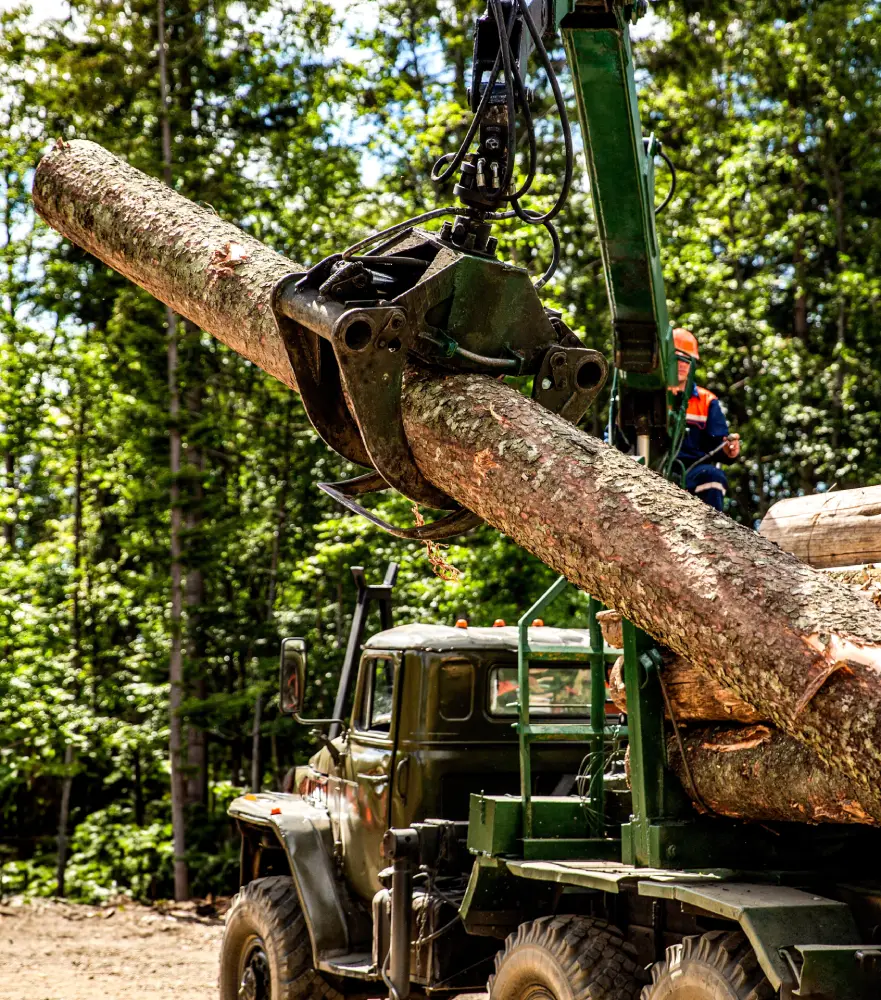 forestry machinery
