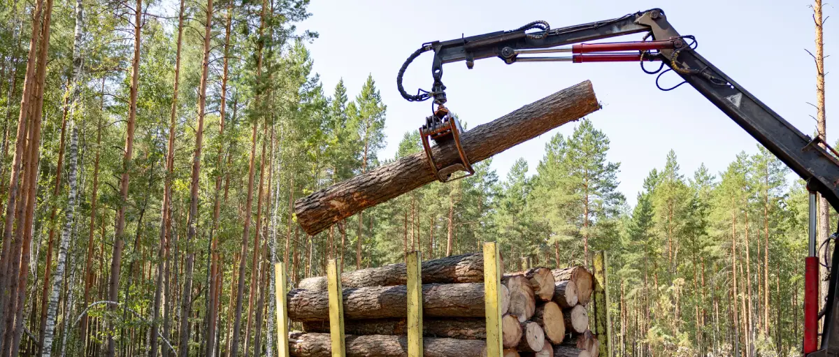 Custom forestry machinery