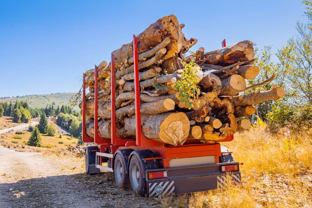 Experts in forestry equipment
