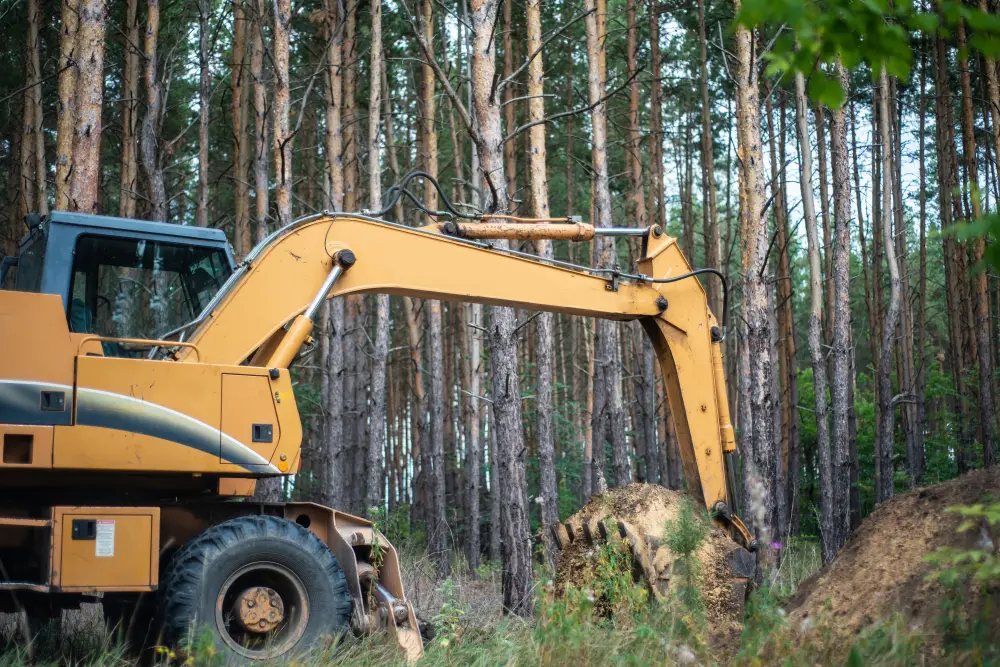 consulting machine forest