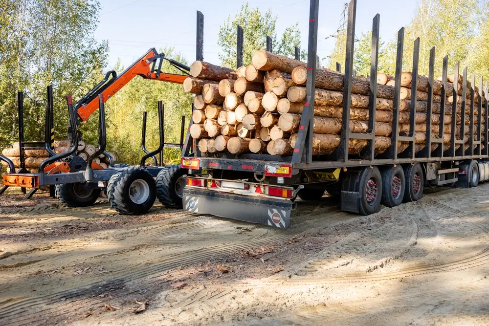 forestry cut