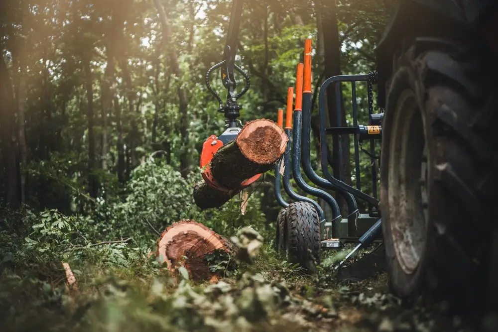 forestry equipment solutions