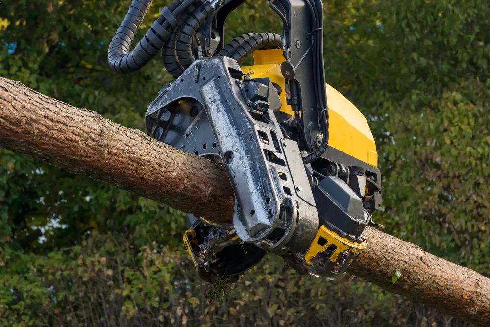 forestry machinery (4)