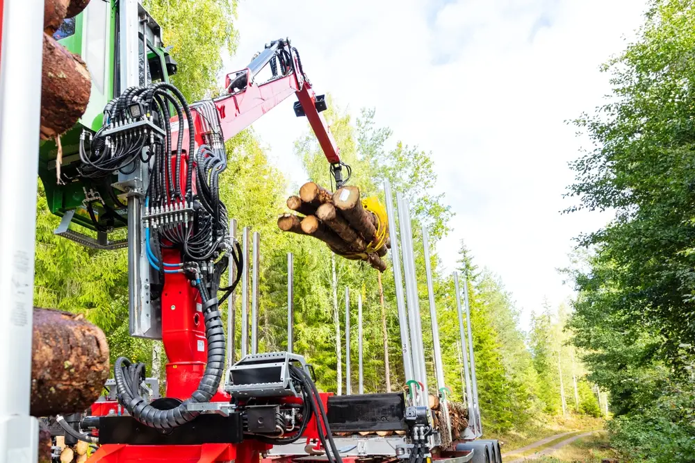 machine forest