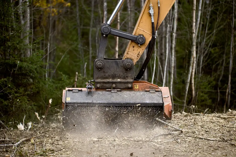 mulcher forest