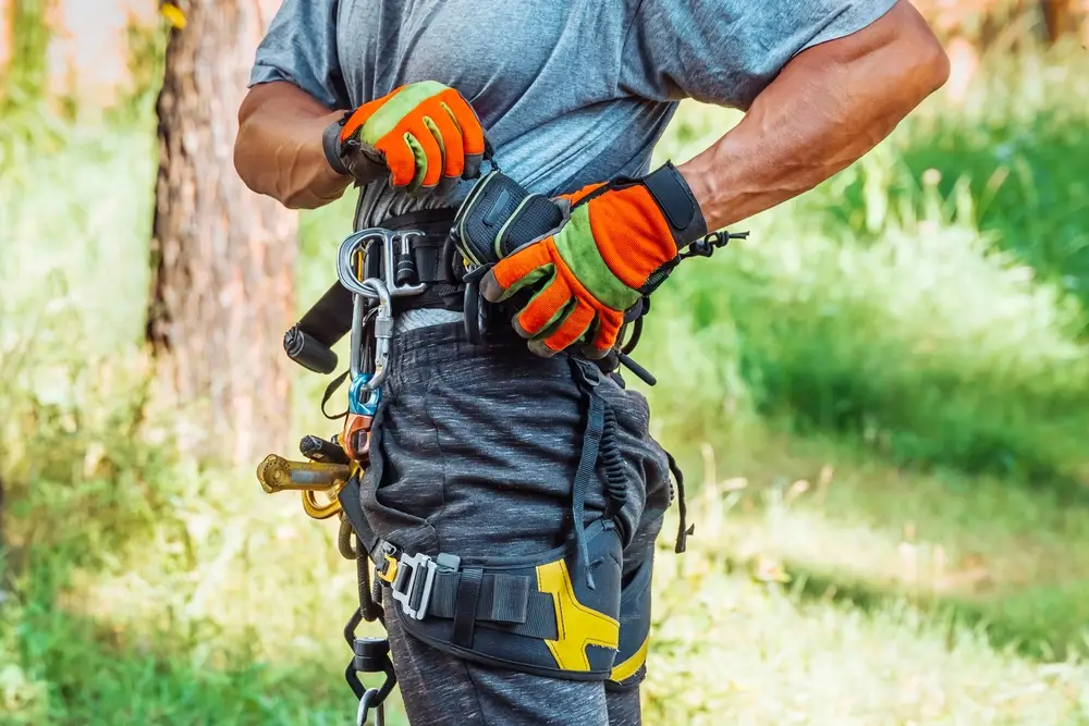 safety forest